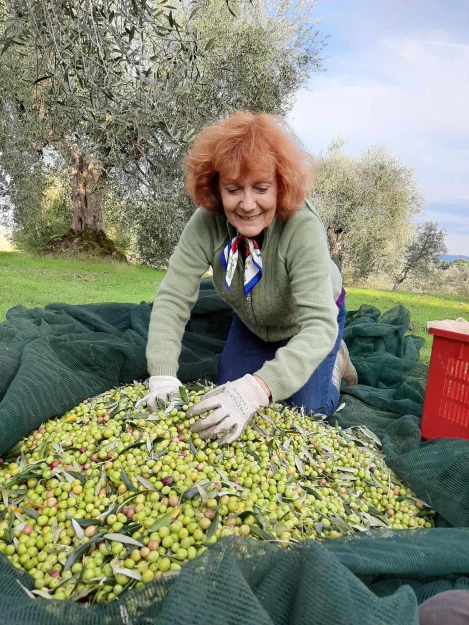 Montebello Degli Olivi Chiusi Eksteriør billede